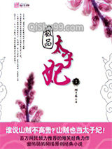 极品太子妃