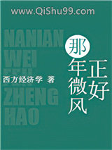 那年微风正好