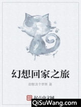 幻想回家之旅