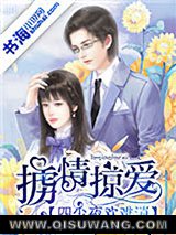 掳情掠爱：四少夜欢难消