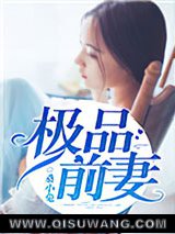 极品前妻