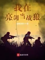我在亮剑当战狼