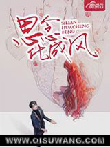 思念化成风