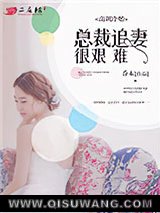 高调冷婚，总裁追妻很艰难