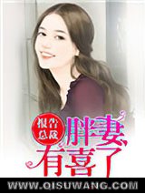 报告总裁，胖妻有喜了