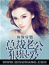 顶级宠婚：总裁老公狠狠爱