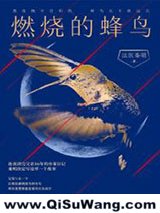 燃烧的蜂鸟