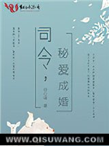 司令，秘爱成婚