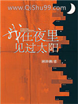 我在夜里见过太阳