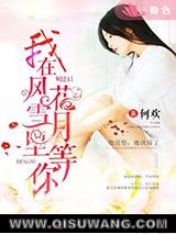 我在风花雪月里等你