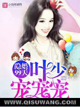 隐婚99天：叶少，宠宠宠！