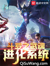 斗罗之武魂进化系统