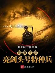 我真不是亮剑头号特种兵