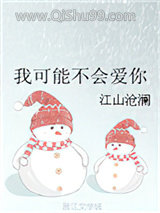 我可能不会爱你