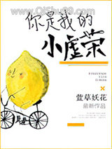 你是我的小虚荣