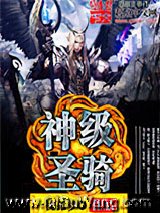 神级圣骑