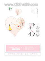 君心意昭昭