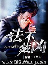 法不藏凶