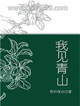 我见青山