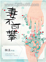 妻不可攀
