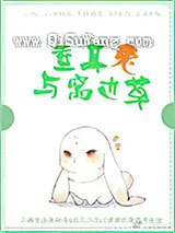 垂耳兔与窝边草