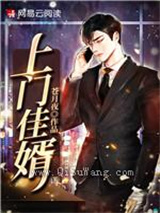 上门佳婿