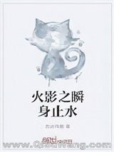 火影之瞬身止水
