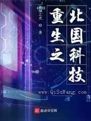 重生之北国科技