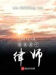 我真是个律师