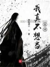我真不想当圣师