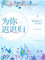 为你迟迟归