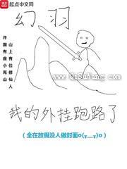 我的外挂跑路了