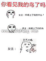你看见我的鸟了吗
