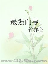 最强向导