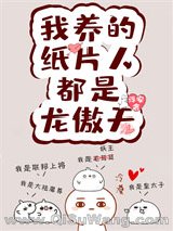 我的纸片人都是龙傲天