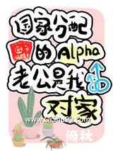 我与对家C位成婚