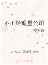 不正经追星公司