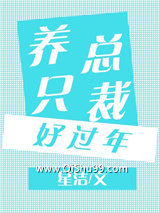 养只总裁好过年