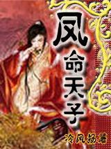 凤命天子之思情刀