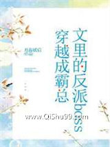 反派boss抢走了霸总