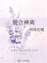 貌合神离