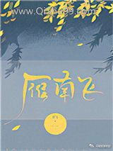雁南飞