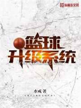 篮球升级系统