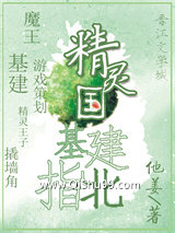精灵国基建指北