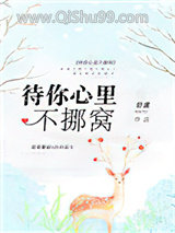 待你心里不挪窝