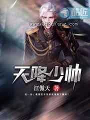 天降少帅