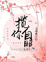 揽你自照