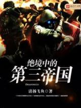 绝境中的第三帝国