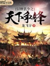 冒牌县令之天下争锋