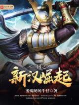 三国之新汉崛起